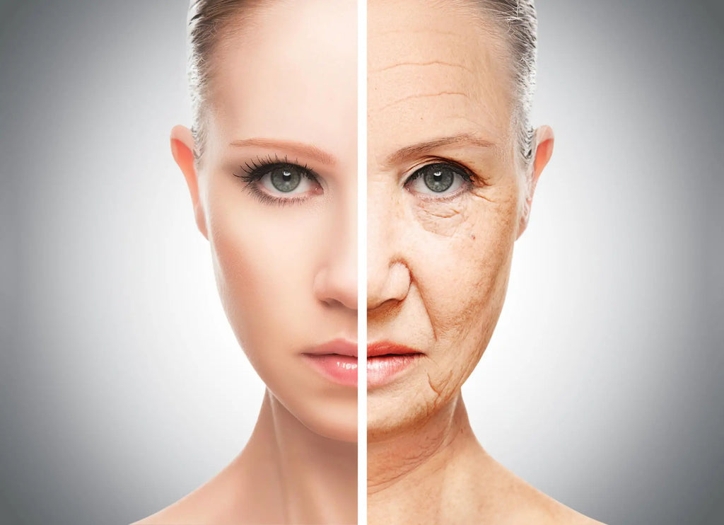 Secret Weapon Against Aging Is?